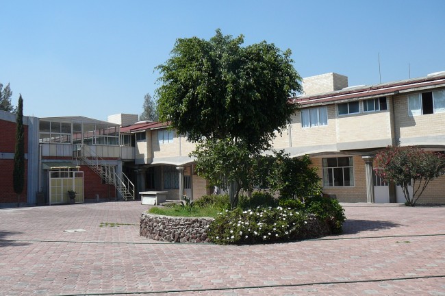Monastero di Ecatapec. Messico, Arbol